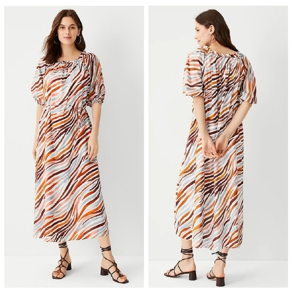 Ann Taylor XXS Zebra Stripe Boatneck Midi Maxi Dress - Picture 11 of 11
